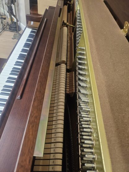 YAMAHA P22,  yr.2009 - Image 4