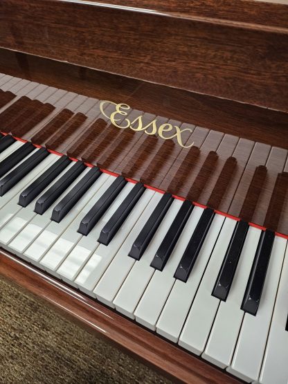 Essex EGP155