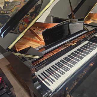 YAMAHA C2,  yr.2006