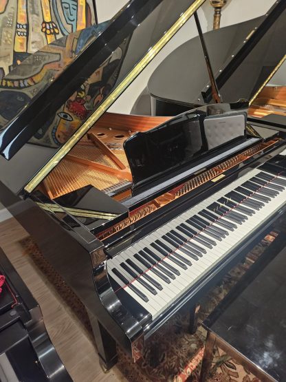 YAMAHA C2,  yr.2006