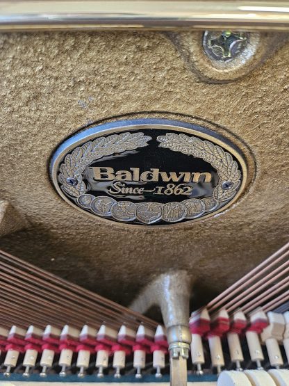 BALDWIN Hamilton,  yr.1993 - Image 7