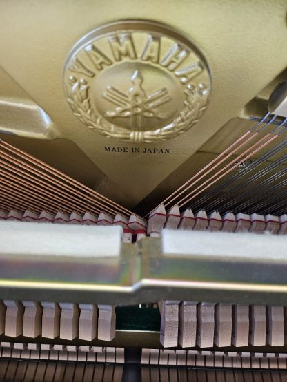 YAMAHA T121,  yr. 2003 - Image 5