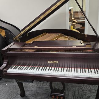 Piano disk by Young Chang yr.1995