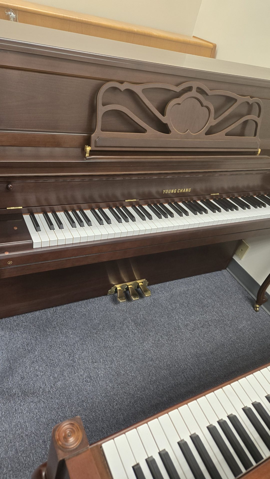 Young Chang Premberger PF116, yr.2003 - Image 8