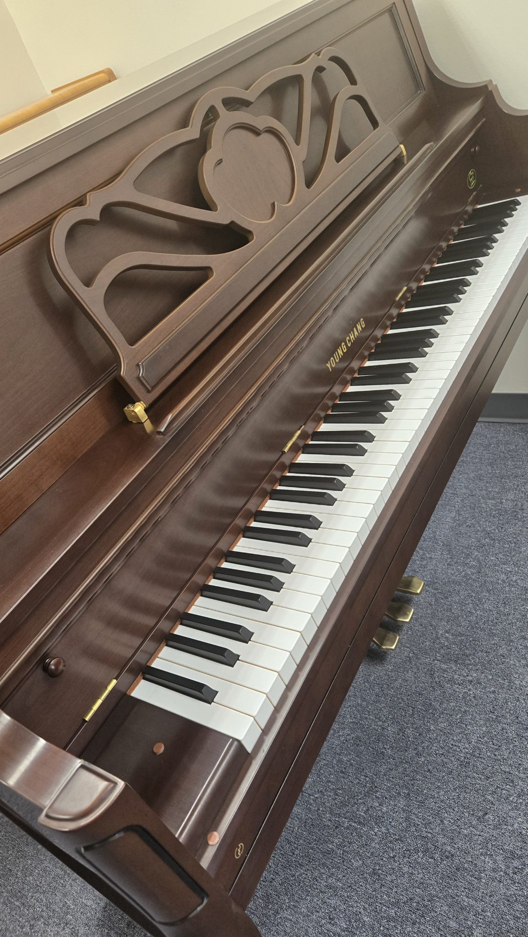 Young Chang Premberger PF116, yr.2003