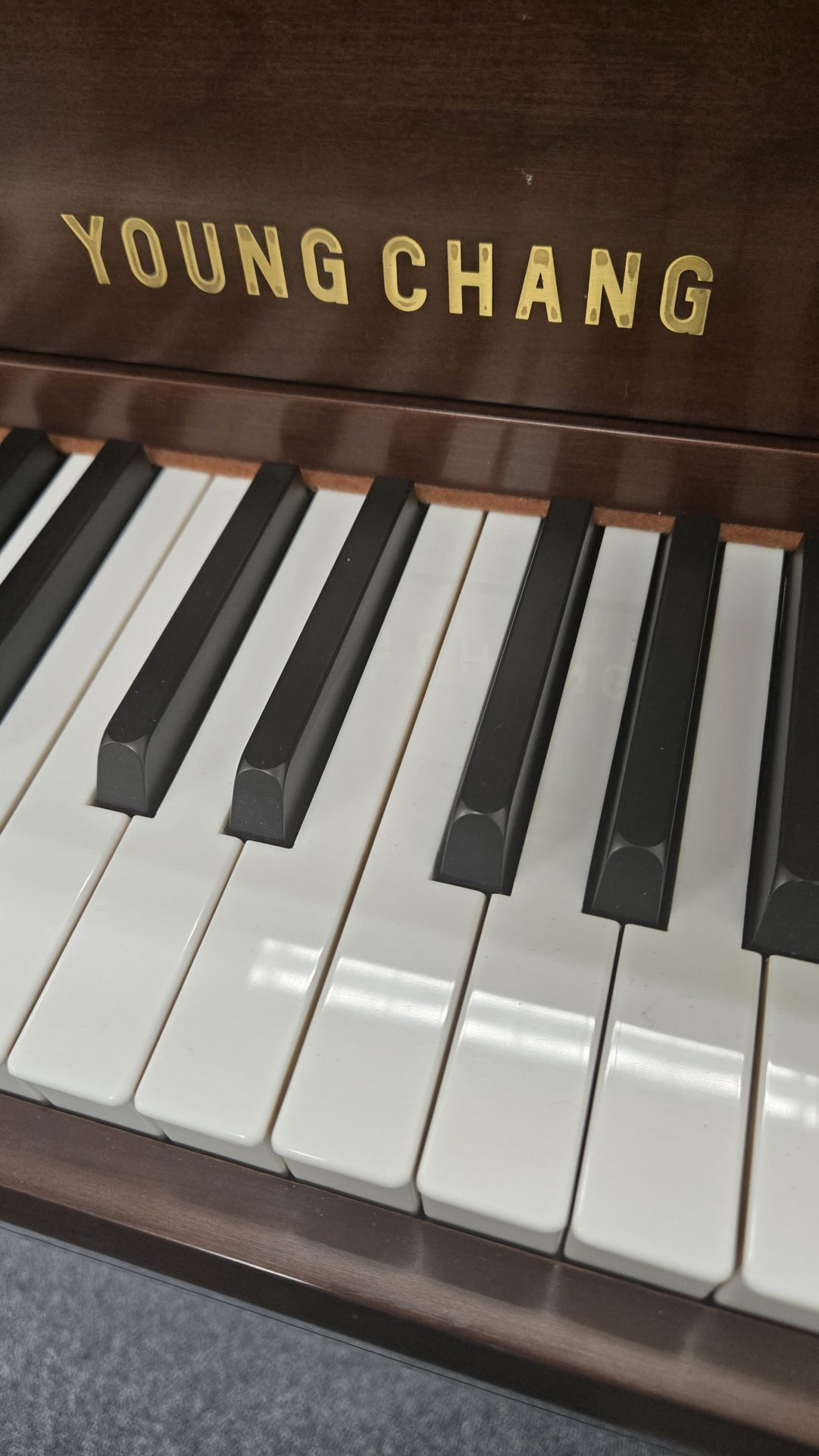 Young Chang Premberger PF116, yr.2003 - Image 3